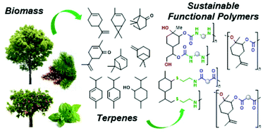 Graphical abstract: From terpenes to sustainable and functional polymers
