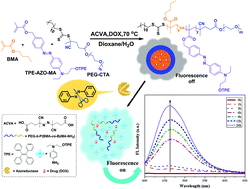 Graphical abstract: Azoreductase-triggered fluorescent nanoprobe synthesized by RAFT-mediated polymerization-induced self-assembly for drug release