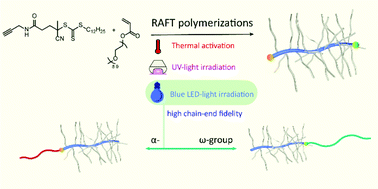 Graphical abstract: Blue LED light-activated RAFT polymerization of PEG acrylate with high chain-end fidelity for efficient PEGylation