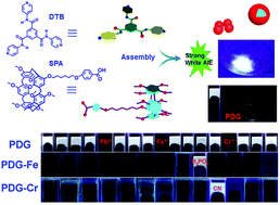 Graphical abstract: Pillar[5]arene-based supramolecular AIE hydrogel with white light emission for ultrasensitive detection and effective separation of multianalytes