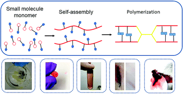 Graphical abstract: A supramolecular copolymer based on small molecules, used for a multifunctional adhesive and rapid hemostasis