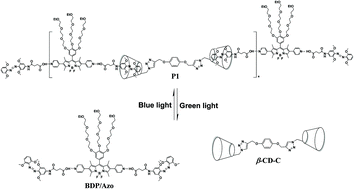 Graphical abstract: Visible light mediated BODIPY/Azo/cyclodextrin based supramolecular polymer assemblies in different water content solutions