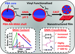 Graphical abstract: Effect of methacrylic acid and pendant vinyl groups on the mechanical properties of highly stretchable core–shell nanostructured films deposited from water