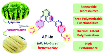 Graphical abstract: An apigenin-based bio-benzoxazine with three polymerizable functionalities: sustainable synthesis, thermal latent polymerization, and excellent thermal properties of its thermosets