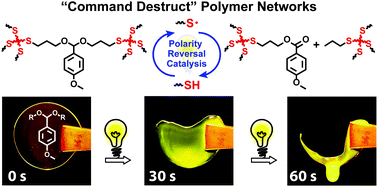Graphical abstract: Command-destruct thermosets via photoinduced thiol-catalyzed β-scission of acyclic benzylidene acetals