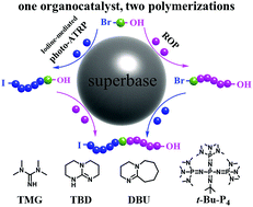Graphical abstract: Iodine-mediated photo-controlled atom transfer radical polymerization (photo-ATRP) and block polymerization combined with ring-opening polymerization (ROP) via a superbase