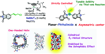 Graphical abstract: Synthesis of an optically active polymer containing a planar phthalimide backbone by asymmetric polymerization