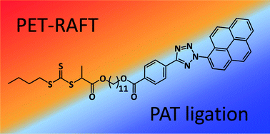 Graphical abstract: Two colours of light drive PET–RAFT photoligation