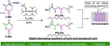 Graphical abstract: An organocatalytic ring-opening polymerization approach to highly alternating copolymers of lactic acid and glycolic acid