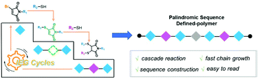 Graphical abstract: Easily readable palindromic sequence-defined polymers built by cascade thiol-maleimide Michael couplings