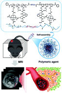 Graphical abstract: An advanced micelle-based biodegradable HPMA polymer-gadolinium contrast agent for MR imaging of murine vasculatures and tumors