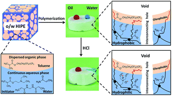 Graphical abstract: Amphiphobic polyHIPEs with pH-triggered transition to hydrophilicity–oleophobicity for the controlled removal of water from oil–water mixtures