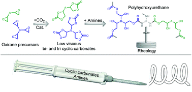 Graphical abstract: Fast curing of polyhydroxyurethanes via ring opening polyaddition of low viscosity cyclic carbonates and amines