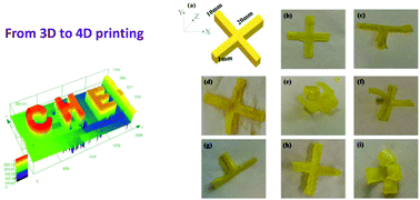 Graphical abstract: Novel D–π-A and A–π-D–π-A three-component photoinitiating systems based on carbazole/triphenylamino based chalcones and application in 3D and 4D printing