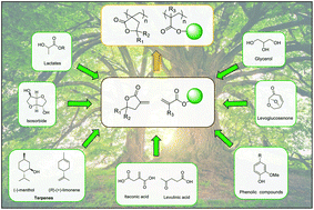 Graphical abstract: Synthesis and polymerization of bio-based acrylates: a review
