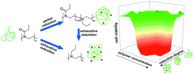 Graphical abstract: Poly(2-ethyl-2-oxazoline-co-N-propylethylene imine)s by controlled partial reduction of poly(2-ethyl-2-oxazoline): synthesis, characterization and cytotoxicity