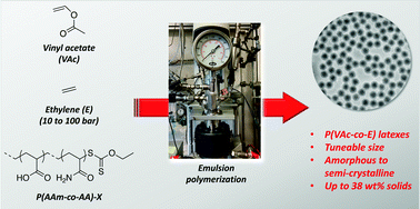 Graphical abstract: Poly(vinyl acetate-co-ethylene) particles prepared by surfactant-free emulsion polymerization in the presence of a hydrophilic RAFT/MADIX macromolecular chain transfer agent