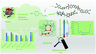 Graphical abstract: A new molecular design platform for high-performance polymers from versatile bio-based tyramine: a case study of tyramine-derived phthalonitrile resin