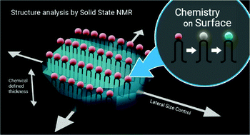 Graphical abstract: Defect engineering of polyethylene-like polyphosphoesters: solid-state NMR characterization and surface chemistry of anisotropic polymer nanoplatelets