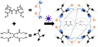 Graphical abstract: Degradable polyanhydride networks derived from itaconic acid