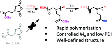 Graphical abstract: Controlled ring-opening polymerization of N-(3-tert-butoxy-3-oxopropyl) glycine derived N-carboxyanhydrides towards well-defined peptoid-based polyacids
