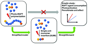 Graphical abstract: How does the single unit monomer insertion technique promote kinetic analysis of activation and initiation in photo-RAFT processes?
