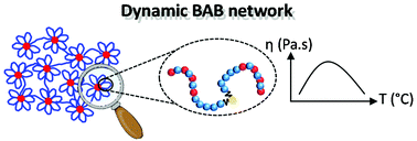 Graphical abstract: Thermoresponsive dynamic BAB block copolymer networks synthesized by aqueous PISA in one-pot