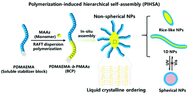 Graphical abstract: Synthesis of azobenzene-containing liquid crystalline block copolymer nanoparticles via polymerization induced hierarchical self-assembly