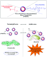 Graphical abstract: Surface charge switchable nanoparticles capable of controlled nitric oxide release for the treatment of acidity-associated bacterial infections