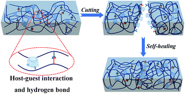 Graphical abstract: A highly efficient bionic self-healing flexible waterborne polyurethane elastic film based on a cyclodextrin–ferrocene host–guest interaction