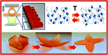 Graphical abstract: Digital light processing 3D printing with thiol–acrylate vitrimers
