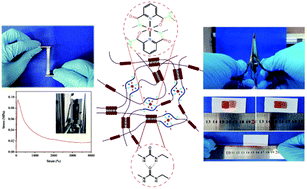 Graphical abstract: A supramolecular polymer with ultra-stretchable, notch-insensitive, rapid self-healing and adhesive properties