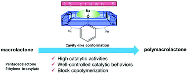 Graphical abstract: Sodium complexes bearing cavity-like conformations: a highly active and well-controlled catalytic system for macrolactone homo- and copolymerization