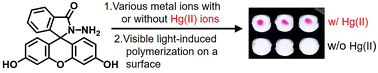 Graphical abstract: Naked-eye detection of Hg(ii) ions by visible light-induced polymerization initiated by a Hg(ii)-selective photoredox catalyst