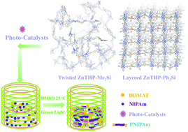 Graphical abstract: Synthesis of thermo-sensitive polymers with super narrow molecular weight distributions: PET-RAFT polymerization of N-isopropyl acrylamide mediated by cross-linked zinc porphyrins with high active site loadings