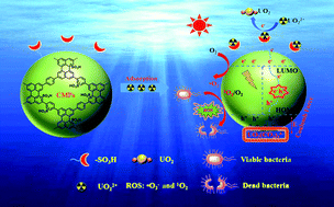 Graphical abstract: Sulfonated perylene-based conjugated microporous polymer as a high-performance adsorbent for photo-enhanced uranium extraction from seawater
