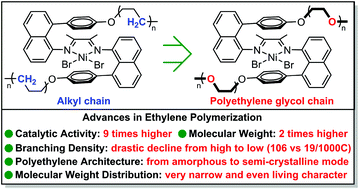 Graphical abstract: Tunable branching and living character in ethylene polymerization using “polyethylene glycol sandwich” α-diimine nickel catalysts