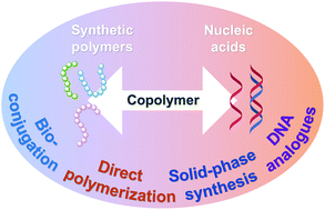 Graphical abstract: Synthetic approaches for copolymers containing nucleic acids and analogues: challenges and opportunities