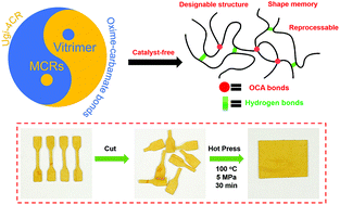 Graphical abstract: Preparation of multi-functional polyamide vitrimers via the Ugi four-component polymerization and oxime-promoted transcarbamoylation reaction