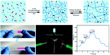 Graphical abstract: Mechanically tough yet self-healing transparent conductive elastomers obtained using a synergic dual cross-linking strategy