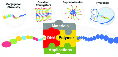Graphical abstract: Combination of DNA with polymers