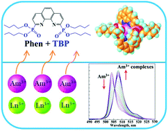 Graphical abstract: Unraveling the complexation mechanism of actinide(iii) and lanthanide(iii) with a new tetradentate phenanthroline-derived phosphonate ligand