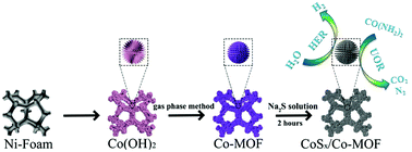 Graphical abstract: Template-directed assembly of urchin-like CoSx/Co-MOF as an efficient bifunctional electrocatalyst for overall water and urea electrolysis