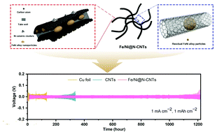 Graphical abstract: N-Doped carbon nanotubes decorated with Fe/Ni sites to stabilize lithium metal anodes
