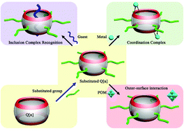 Graphical abstract: Supramolecular chemistry of substituted cucurbit[n]urils