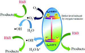 Graphical abstract: In situ synthesis of Cl-doped Bi2O2CO3 and its enhancement of photocatalytic activity by inducing generation of oxygen vacancies