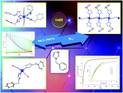 Graphical abstract: Magneto-structural diversity of Co(ii) compounds with 1-benzylimidazole induced by linear pseudohalide coligands