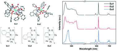 Graphical abstract: Luminescent europium(iii) complexes based on tridentate isoquinoline ligands with extremely high quantum yield