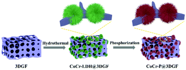 Graphical abstract: In situ growth of urchin-like cobalt–chromium phosphide on 3D graphene foam for efficient overall water splitting
