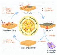 Graphical abstract: Preparation of single-crystal metal substrates for the growth of high-quality two-dimensional materials
